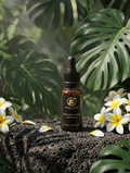 Gel Booster Antioxydant au Ginkgo